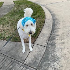 Meet your Posher, Heejung